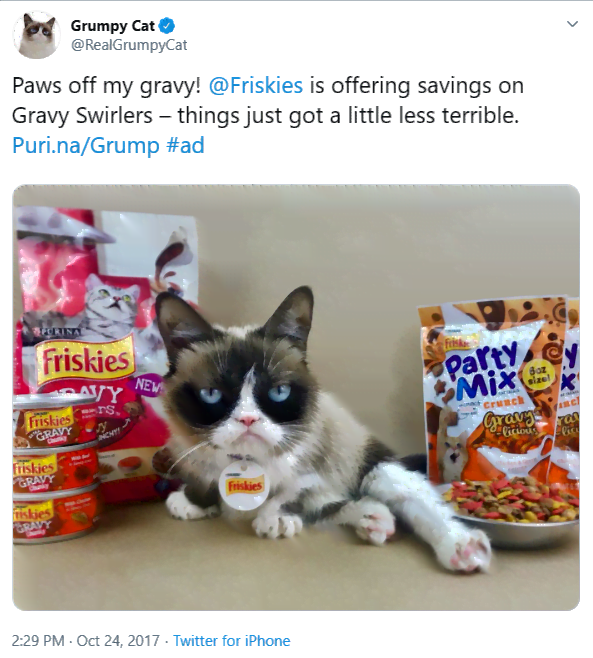 Friskies' new face: star Grumpy Cat is pet food's new