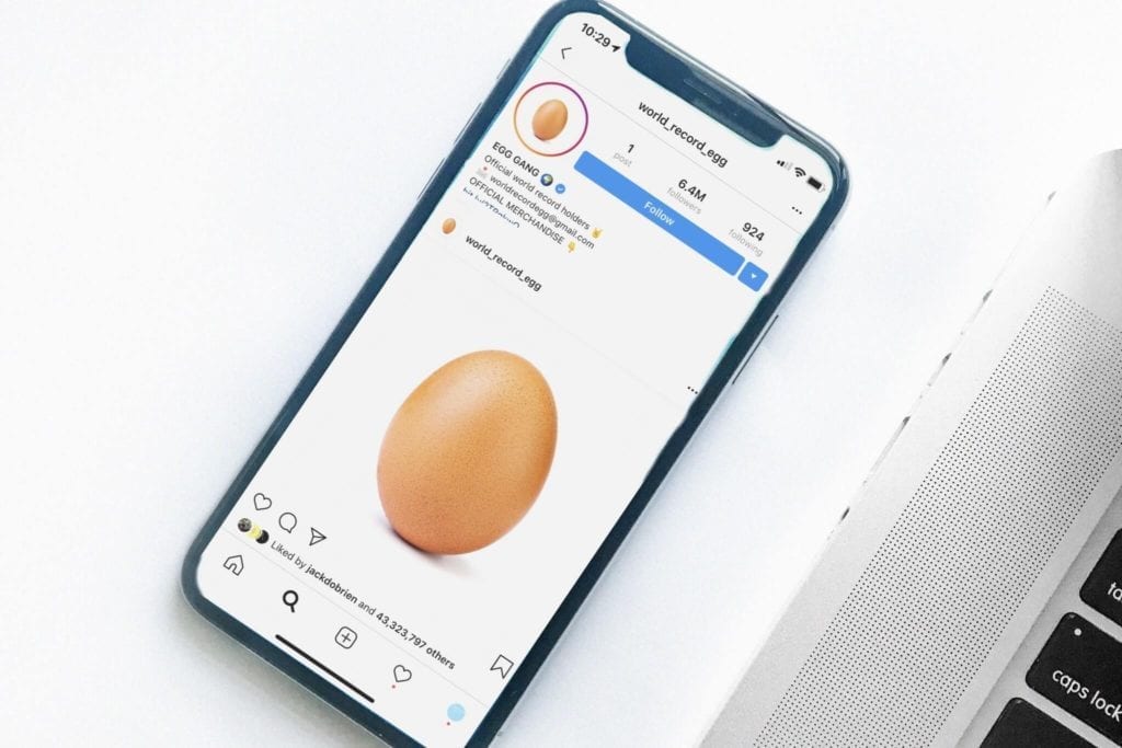 newcastle creative co world record egg instagram