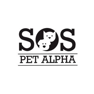 Instagram Profile Picture Of sospetalpha