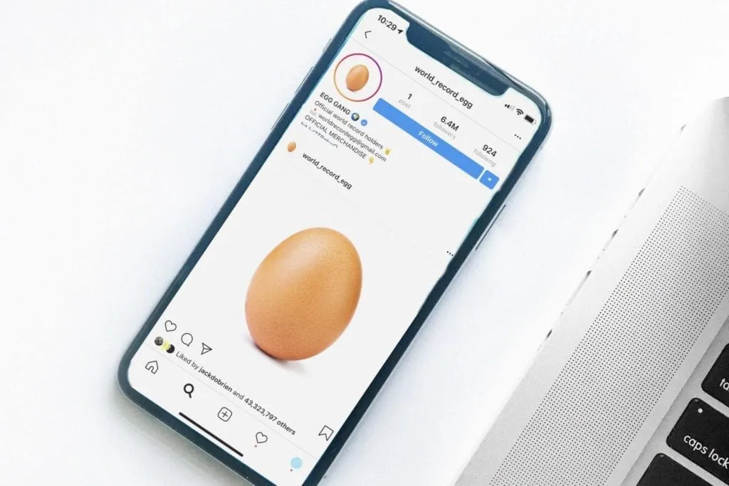 纽卡斯尔创意公司世界纪录蛋 Instagram